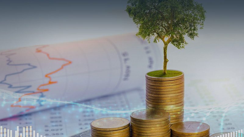投融资咨询案例：如何规避潜在风险，确保项目成功？**