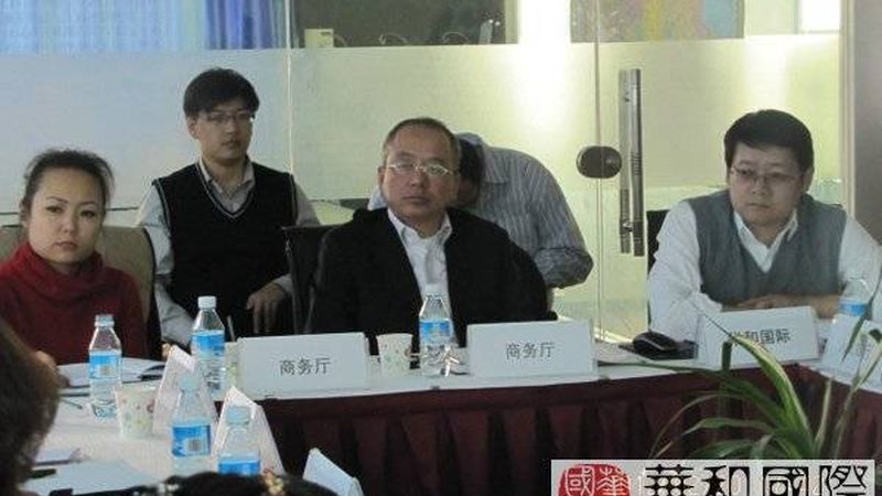 股权架构设计：企业稳健发展的基石**